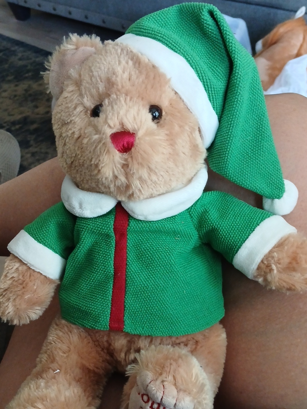 Gund 2014 Godiva Holiday Bear.